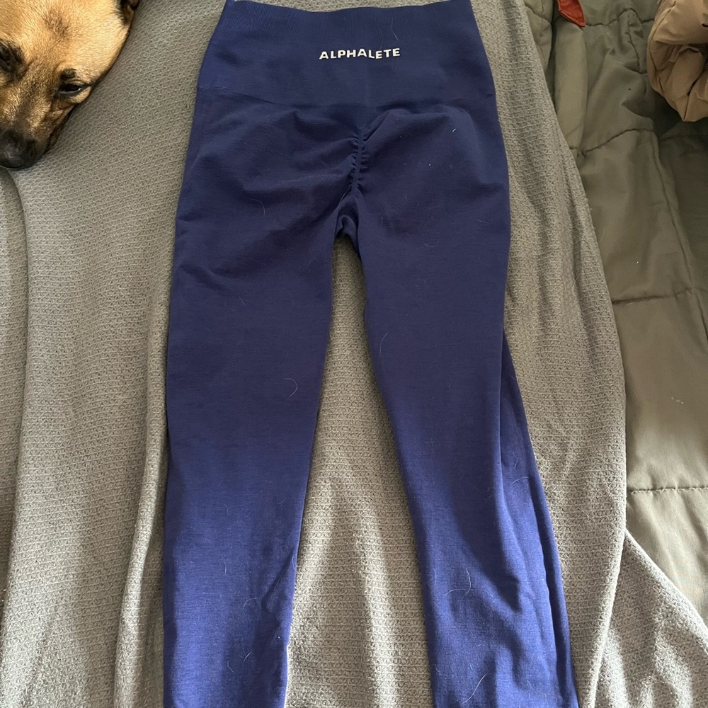 Alphalete amplify leggings